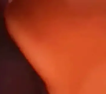 jurassic pork 1733492938